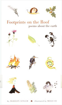 Footprints on the Roof